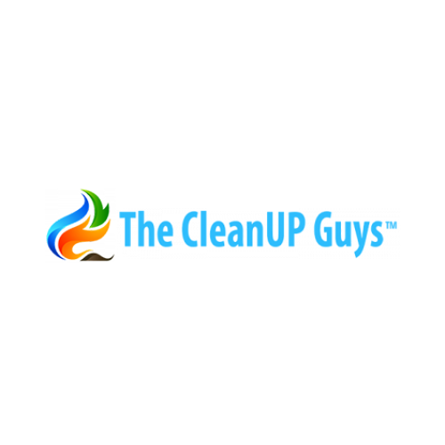 The CleanUP Guys The CleanUP Guys