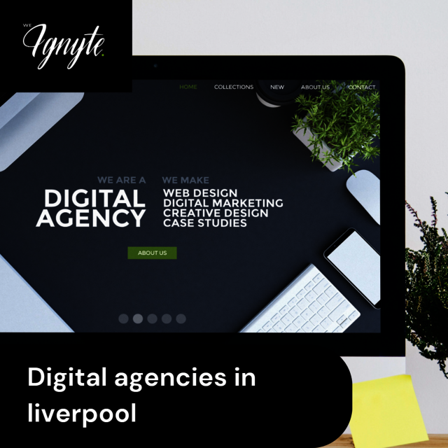 digital agencies in liverpool Picture Box