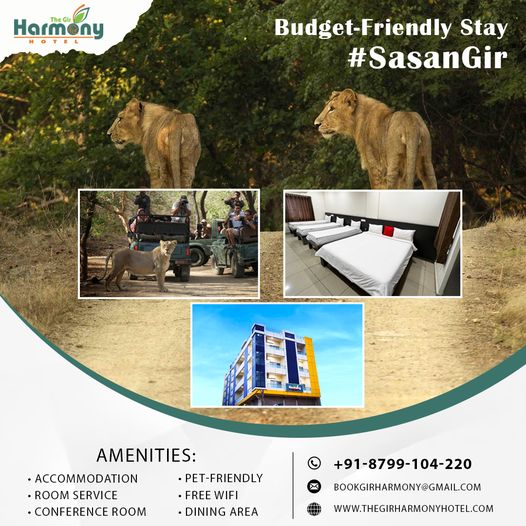 best-hotels-in-Sasan Gir Best Hotels in Sasan Gir - The Gir Harmony