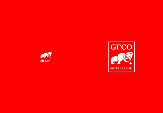 gfco cover 2 EMERGENCY