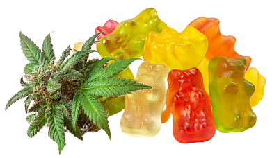 istockphoto-1207535743-170667a-removebg-preview12 Picture Box