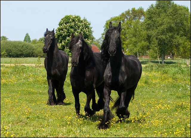 16 Nathan en Hayke 19 Mei