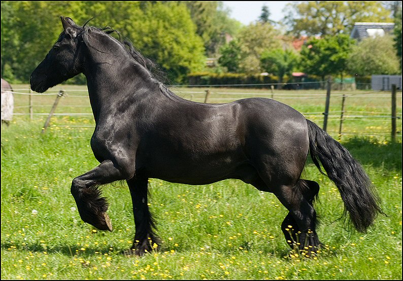 19 - Nathan en Hayke 19 Mei