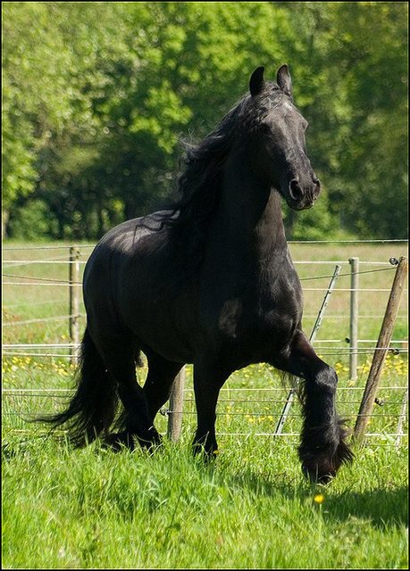 29 Nathan en Hayke 19 Mei