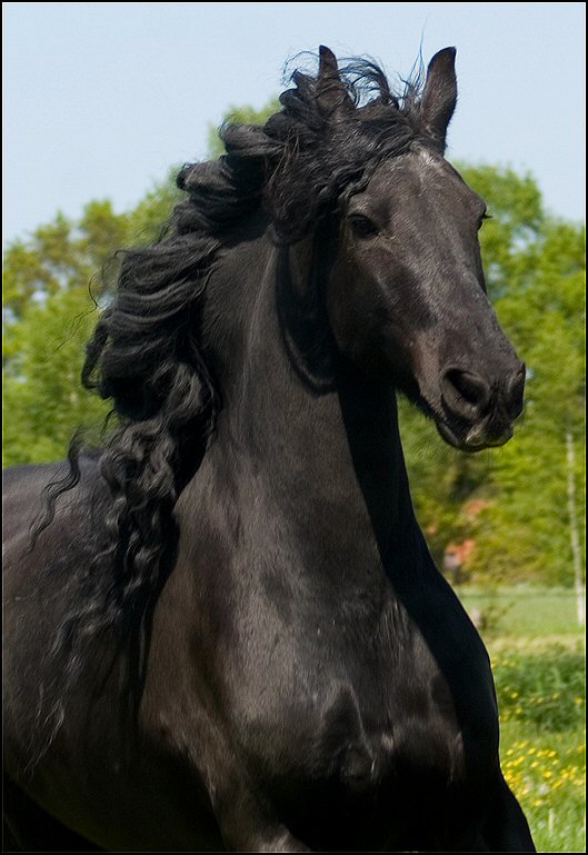 44 - Nathan en Hayke 19 Mei