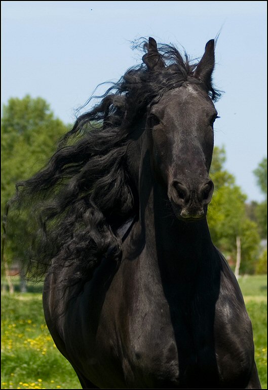 45 - Nathan en Hayke 19 Mei