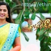 Ethir Neechal