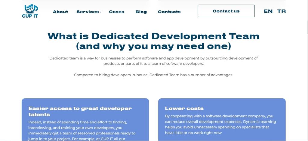 Dedicated Development Team Cupitteam