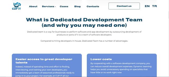 Dedicated Development Team Cupitteam