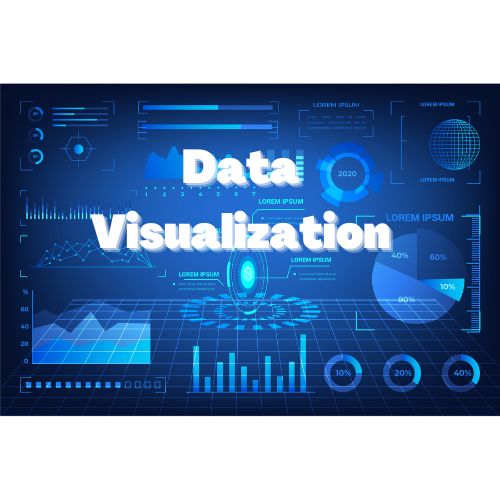 Why Data Visualization Services is important for b Picture Box