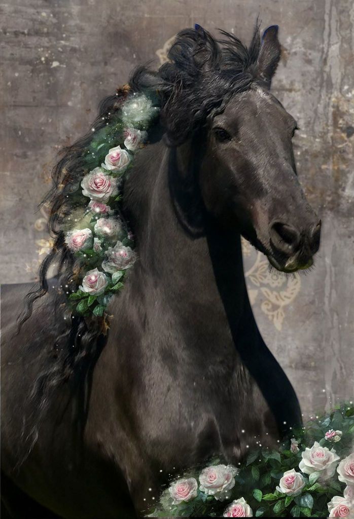 343286809 2277641145770408 6249057862144472809 n - 