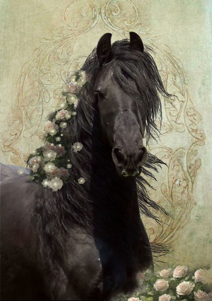 345082371 957139945626474 6831450723920089383 n - 