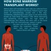 Bone Marrow Transplant in H... - Bone Marrow Transplant in H...