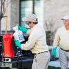 Pest Control service - Picture Box