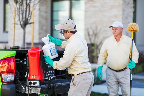 Pest Control service Picture Box