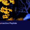 Neuroactive Peptide - Creative Biolabs' Pictures
