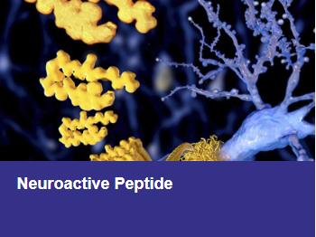 Neuroactive Peptide Creative Biolabs' Pictures