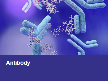 Neuronal Marker Antibody Creative Biolabs' Pictures