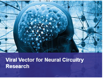Viral Vector for Neural Circuitry Research Creative Biolabs' Pictures