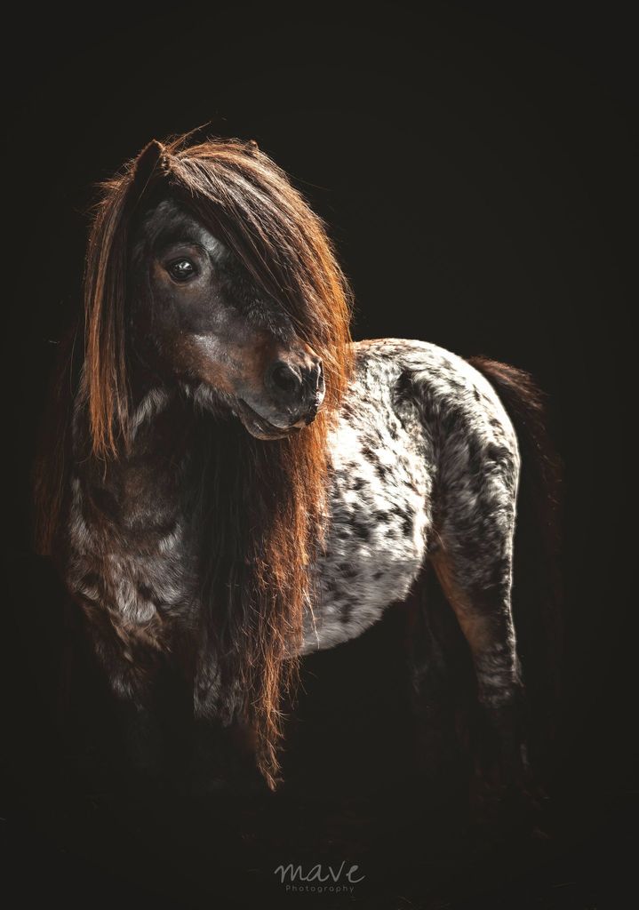 350241738 1124917955567575 6559277993593451813 n - ozzyshoot