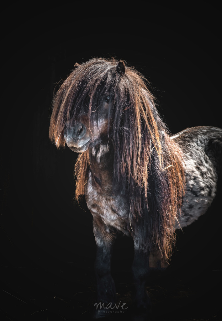 IMG 5115 extra - ozzyshoot