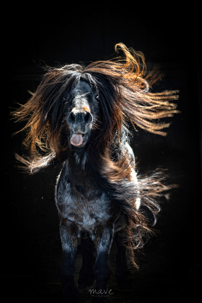 IMG 5127 extra - ozzyshoot