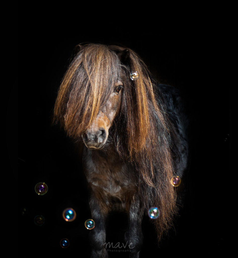 IMG 5266 - ozzyshoot