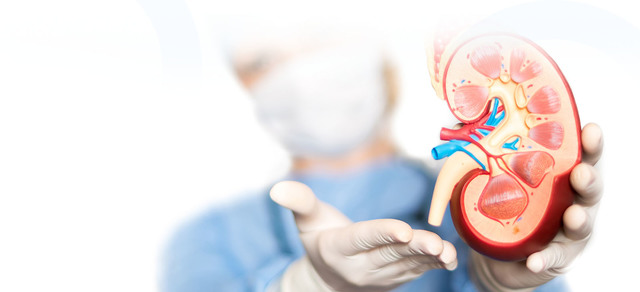 Urology2 Picture Box