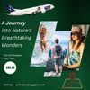 How Do You Buy Flights On G... - Picture Box