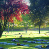 Cremation Near Hayward Ca