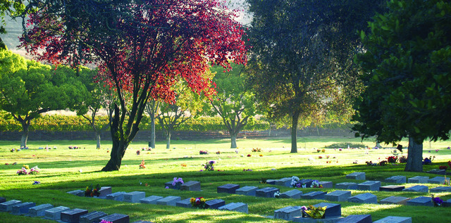Find a Cremation Company Near Hayward CA Cremation Near Hayward Ca