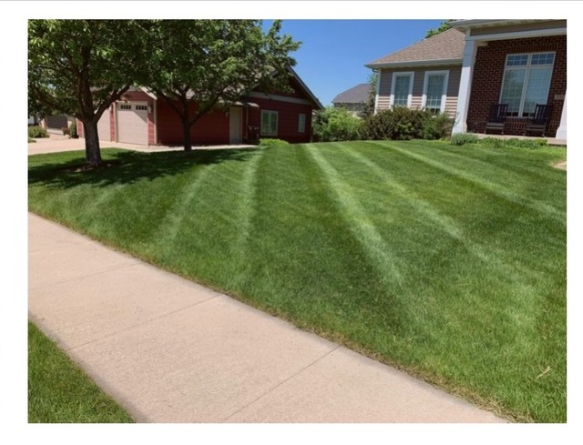 WhatsApp Image 2023-06-02 at 1.22.50 PM Expert Lawn Care Services | Topsoil Outdoor