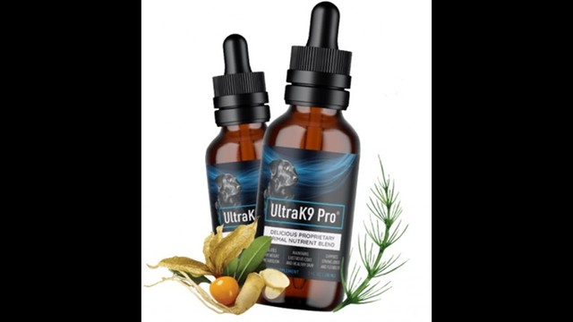 IMAGE 1679303303 Make Your Pets Healthy By The Ultra K9 Pro