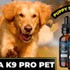 Read Real Details About The Ultra K9 Pro