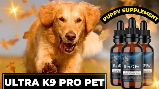 IMAGE 1679904622 Read Real Details About The Ultra K9 Pro