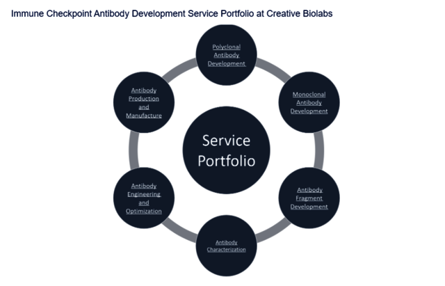 antibody immunotherapy Creative Biolabs' Pictures
