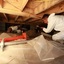 crawl space contractor - Radius Building Solutions