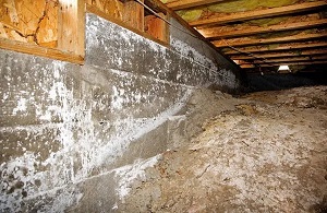 crawl space installer Radius Building Solutions