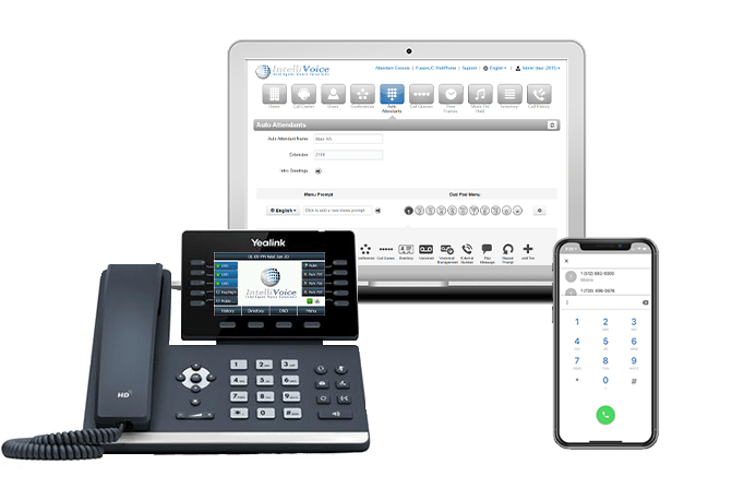 IntelliVoice LLC 5 IntelliVoice LLC