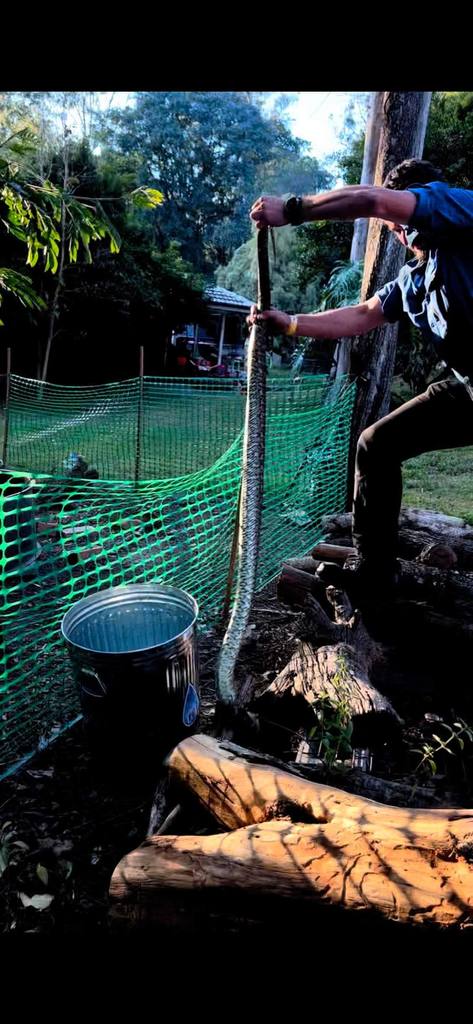 352149618 1704890123283824 8977296867595461218 n - 