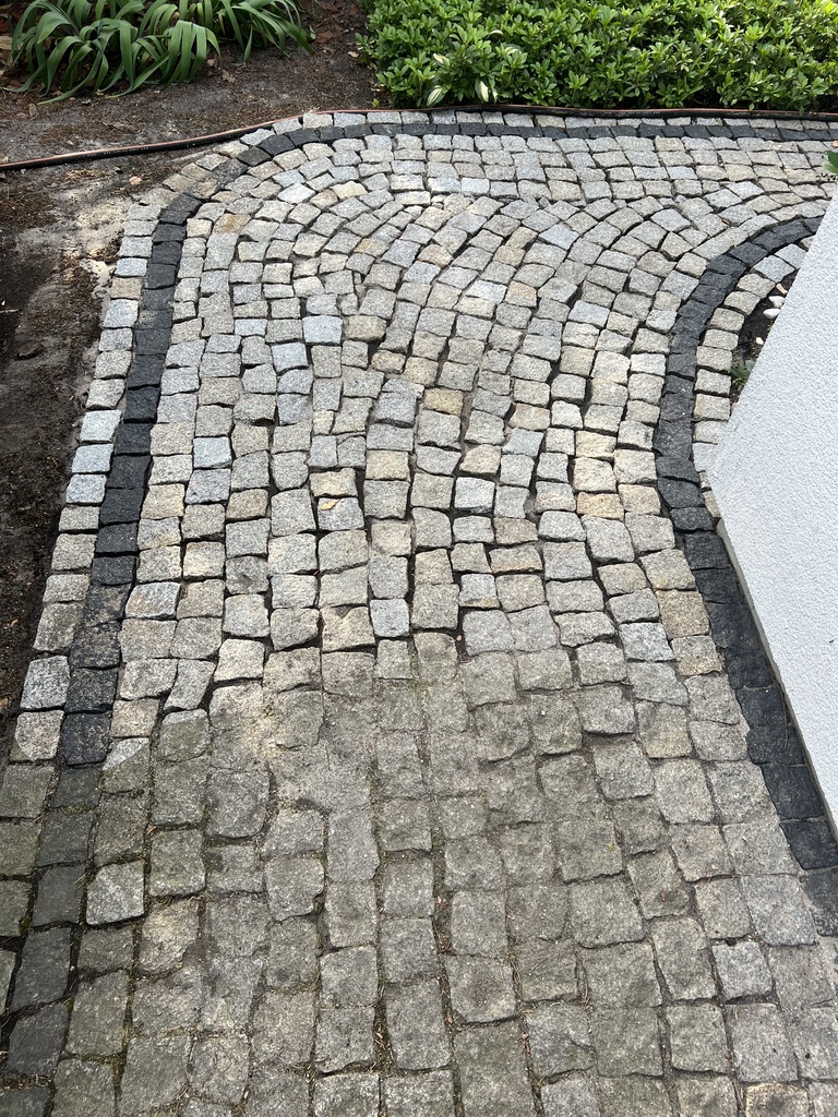 IMG 0551 13 07 02
