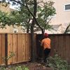 residential tree service - BioScapes Tree Care Inc