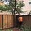 residential tree service - BioScapes Tree Care Inc