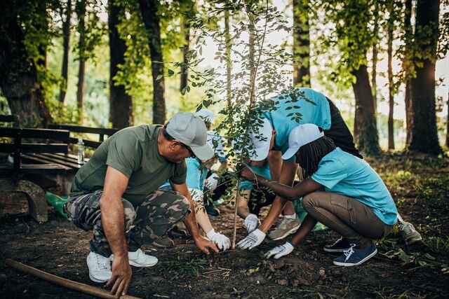 tree planting BioScapes Tree Care Inc