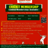 baseball classes - Picture Box