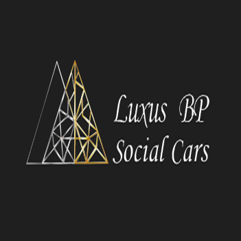 LUXUS BP LLC LUXUS BP LLC