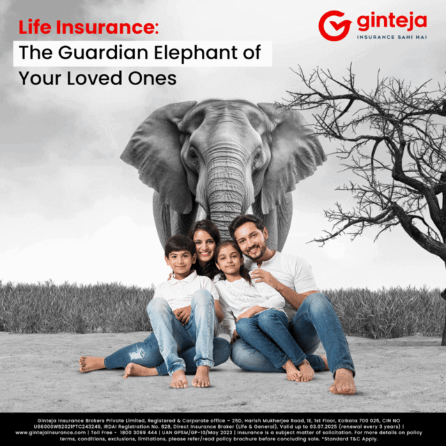 elephant-ginteja-insurance Ginteja Insurance