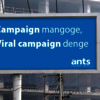 Ants Digital - Software Dev... - Picture Box