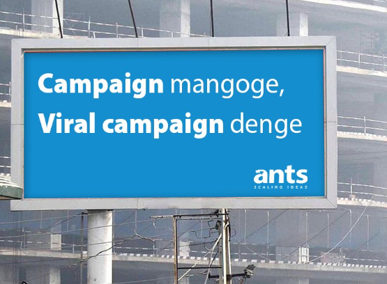 Ants Digital - Software Development company -  Picture Box