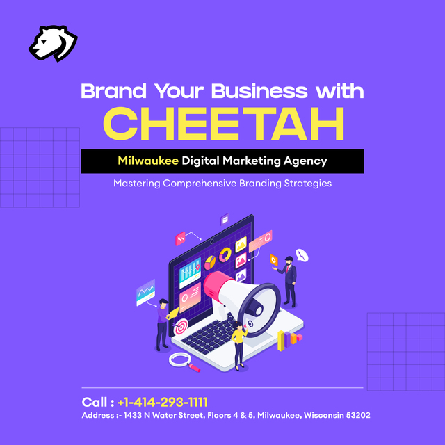 Milwaukee Digital Marketing Agency Picture Box